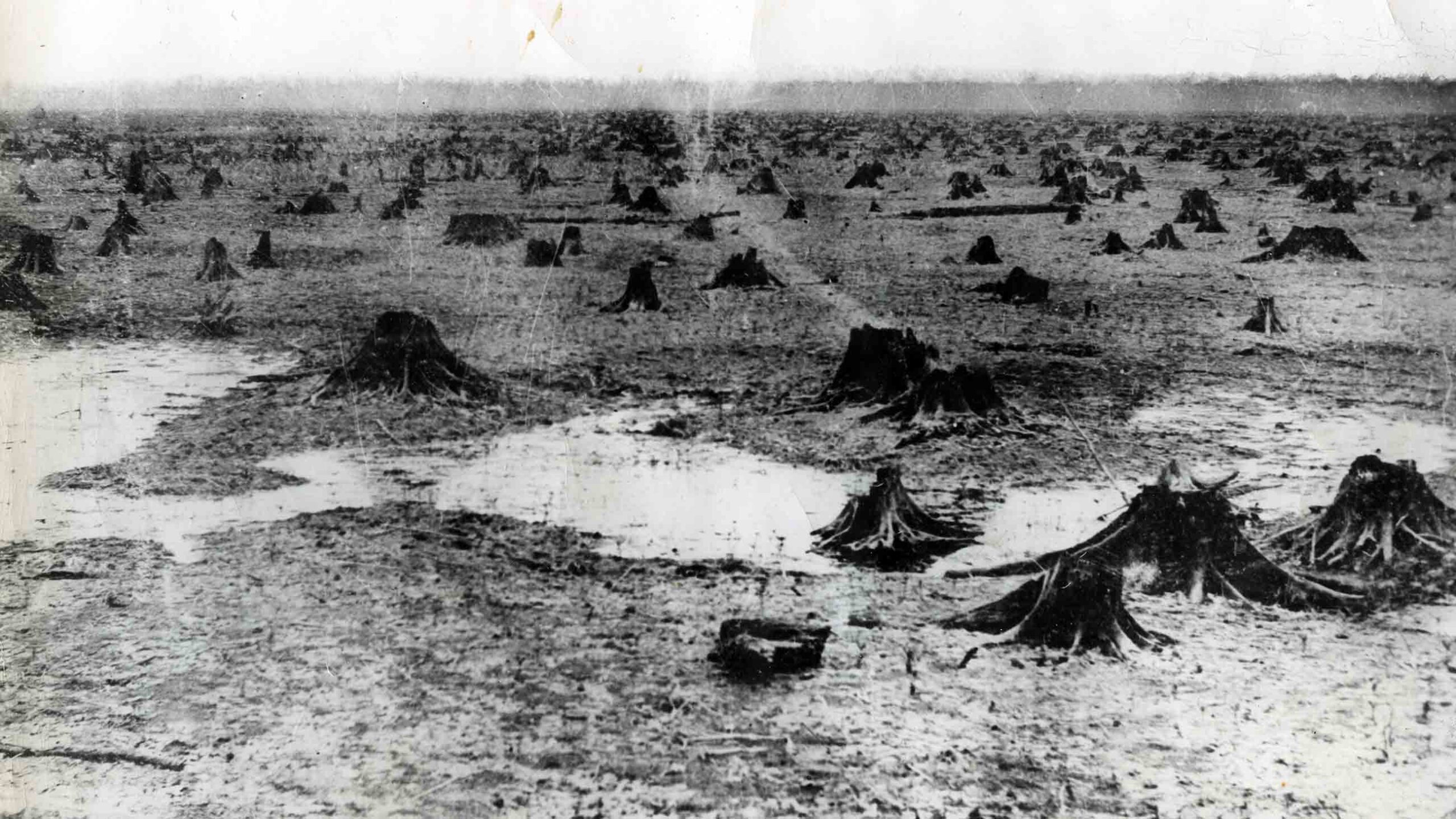 Within time, the marsh gave way to fertile farmland