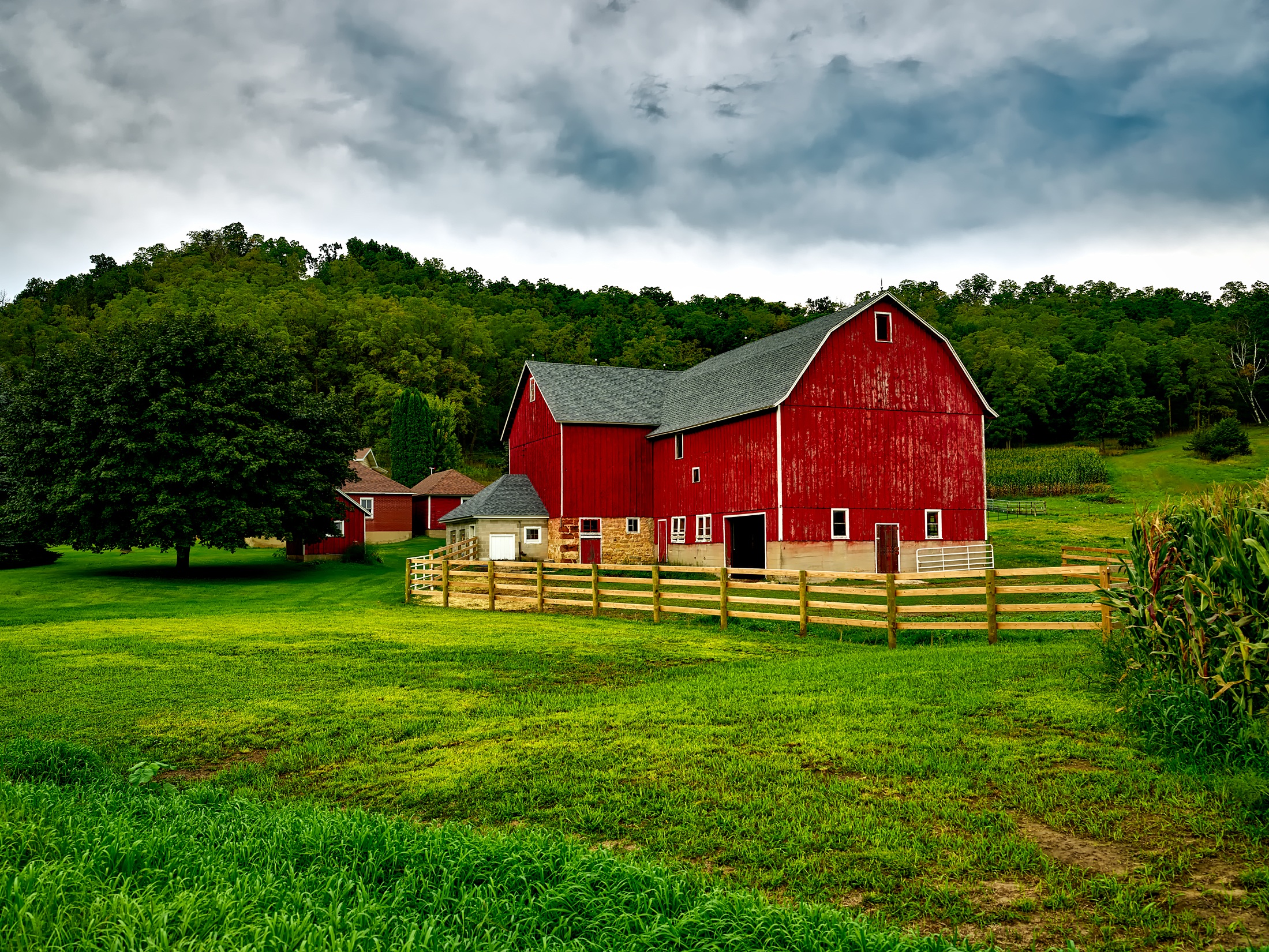 A barn beside a woods